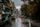 rainy road