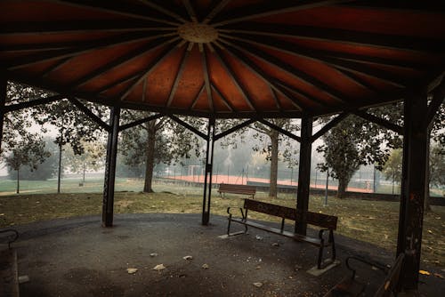 Darmowe zdjęcie z galerii z park, pergola, promenada