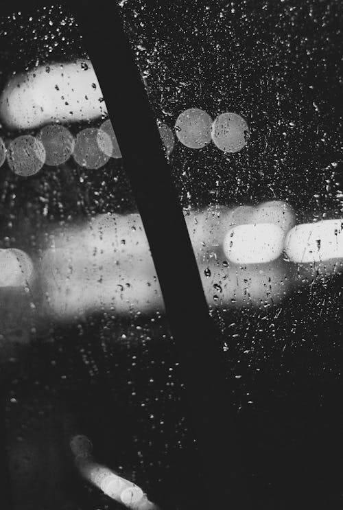คลังภาพถ่ายฟรี ของ กระจก, ขาวดำ, ฝน