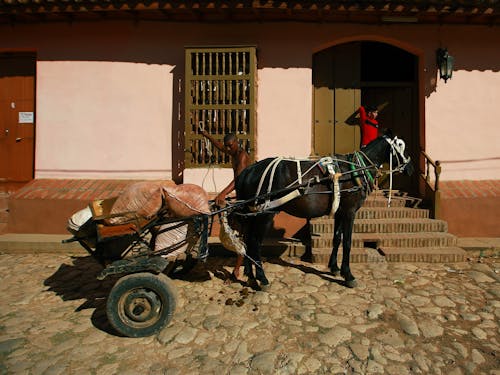 бесплатная Бесплатное стоковое фото с вагон, колесо, лошадь Стоковое фото
