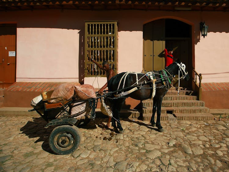 A Horse Pulling A Cart Load Of Sacks