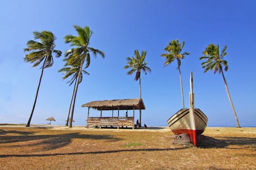 Boat on Brown Grass Field