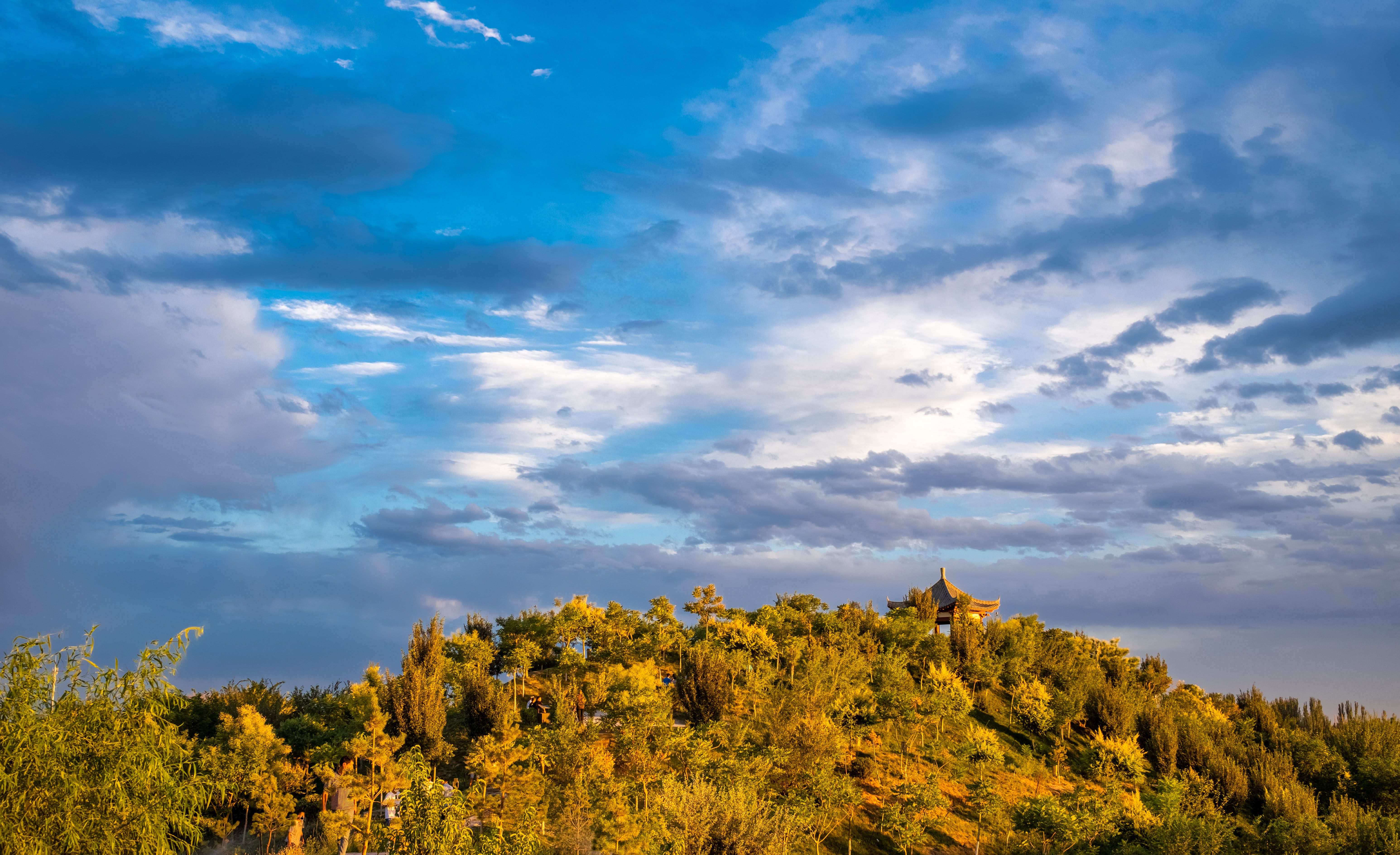 Green Trees Under Cloudy Sky · Free Stock Photo