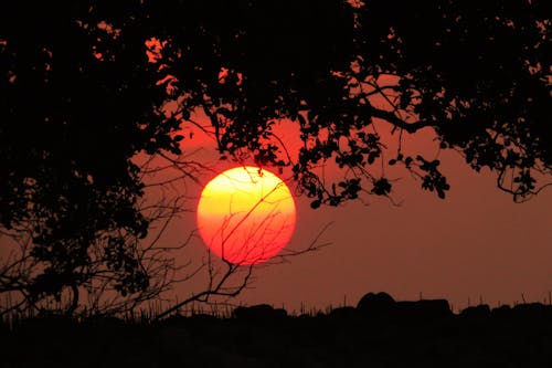 Free stock photo of evening, red, siluette