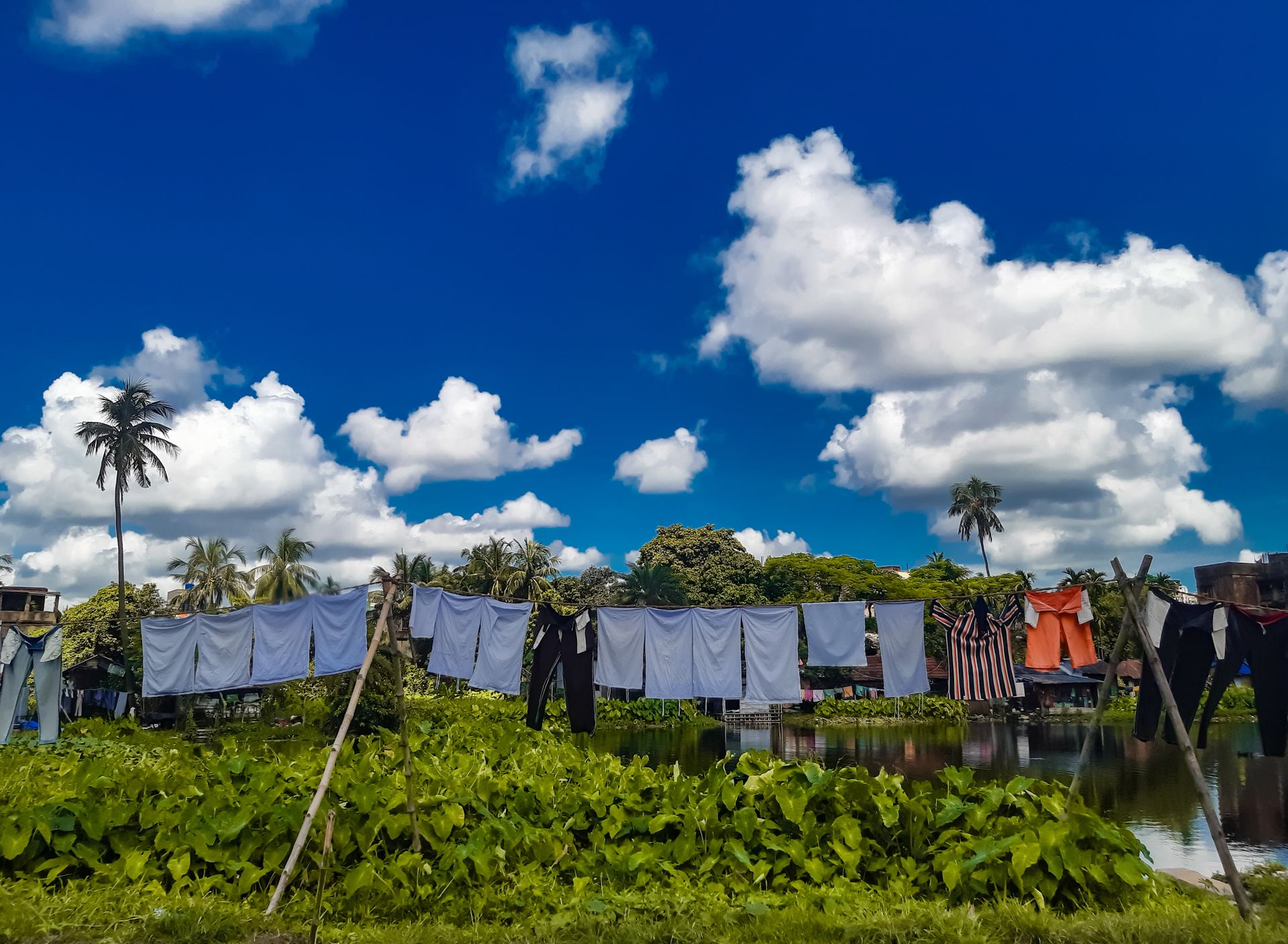 Clothes Hanging on Clothesline near Body of Water under Blue Sky