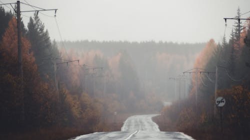 Безкоштовне стокове фото на тему «асфальтована дорога, дорожній знак, електричні стовпи»