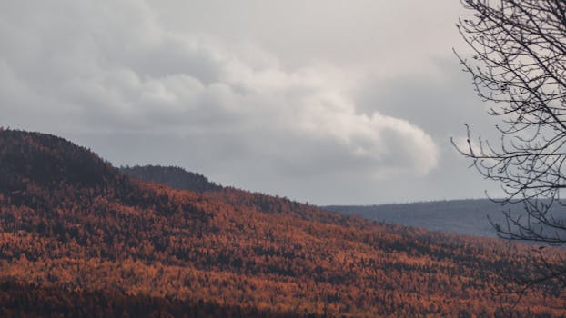 Beautiful autumn mountain landscape with fall foliage under an overcast sky.