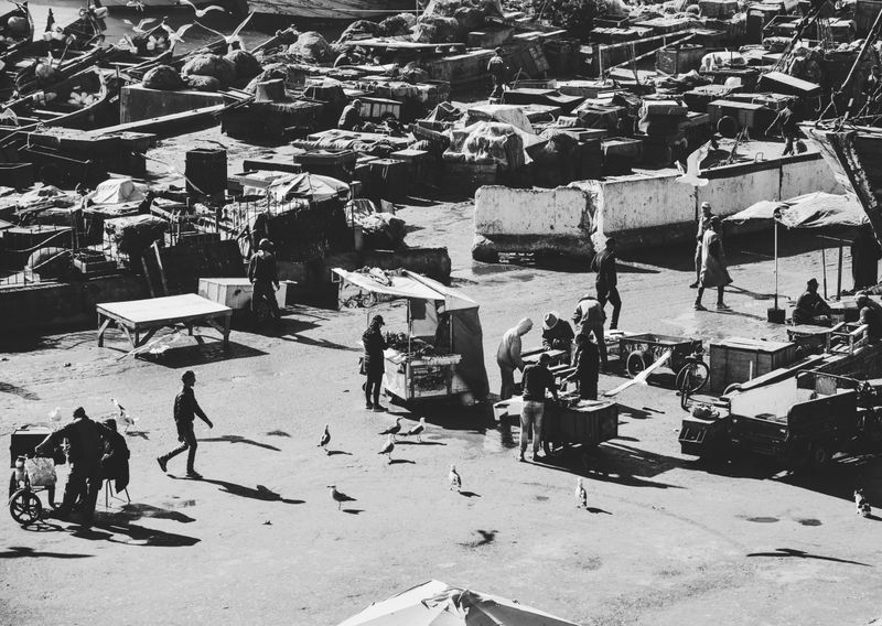 Fresh fish displayed at Essaouira fishing harbor