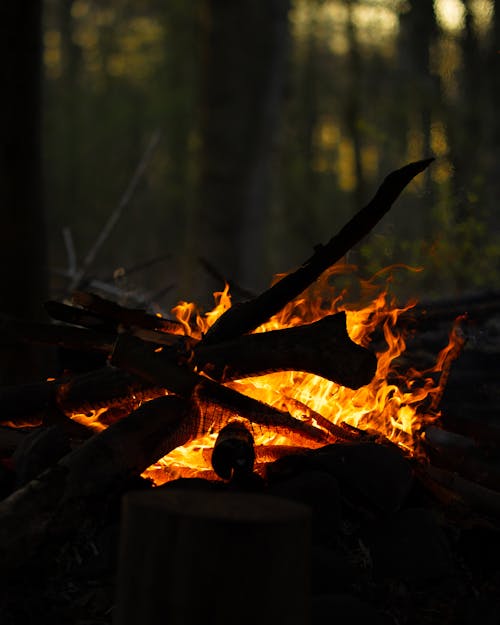 Close Up Shot of a Bonfire