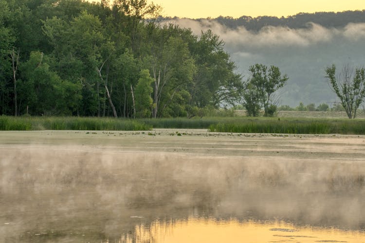 Mist Over Lake On Swamp