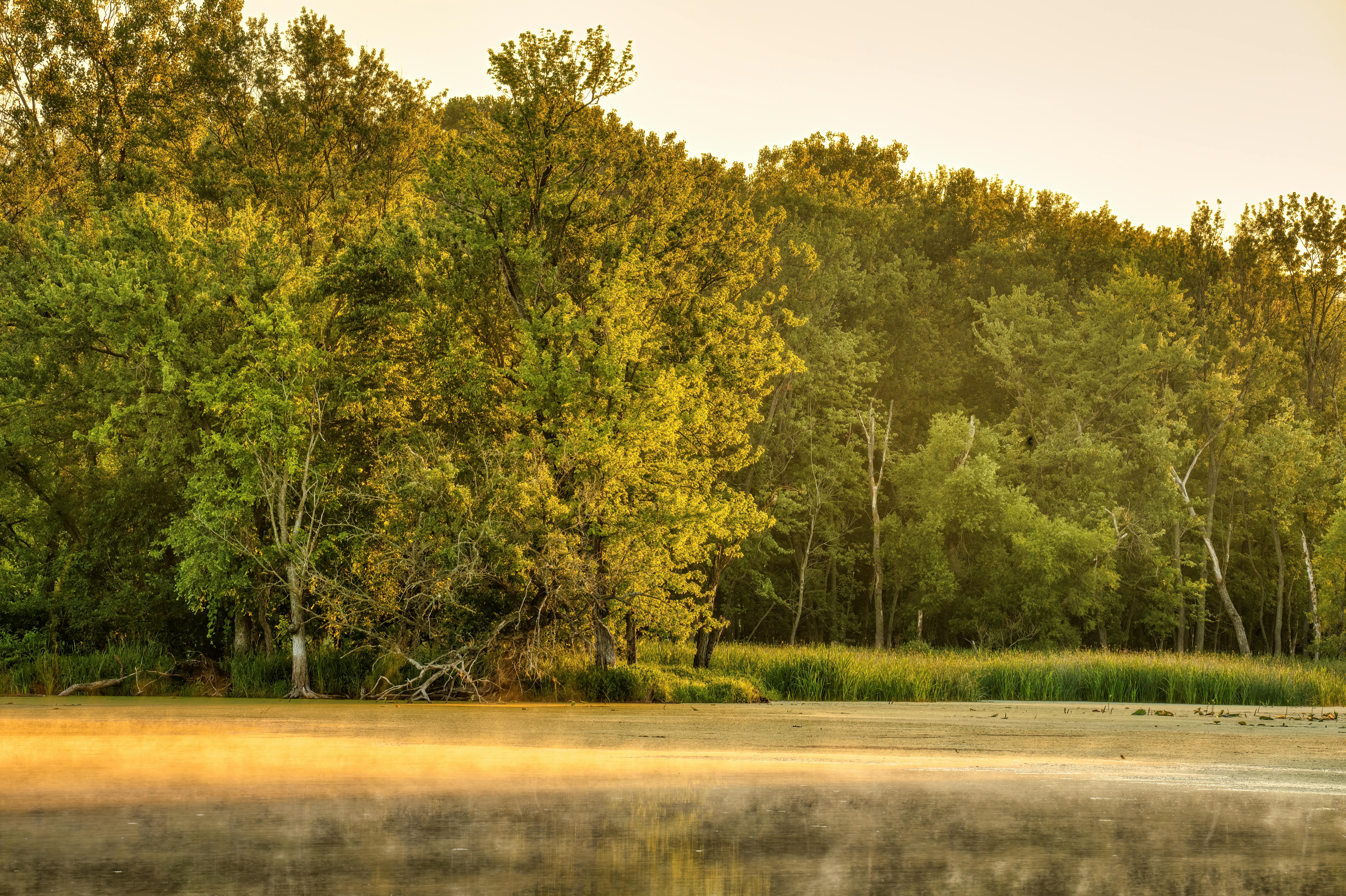 Who attacked Krishna 17 times?