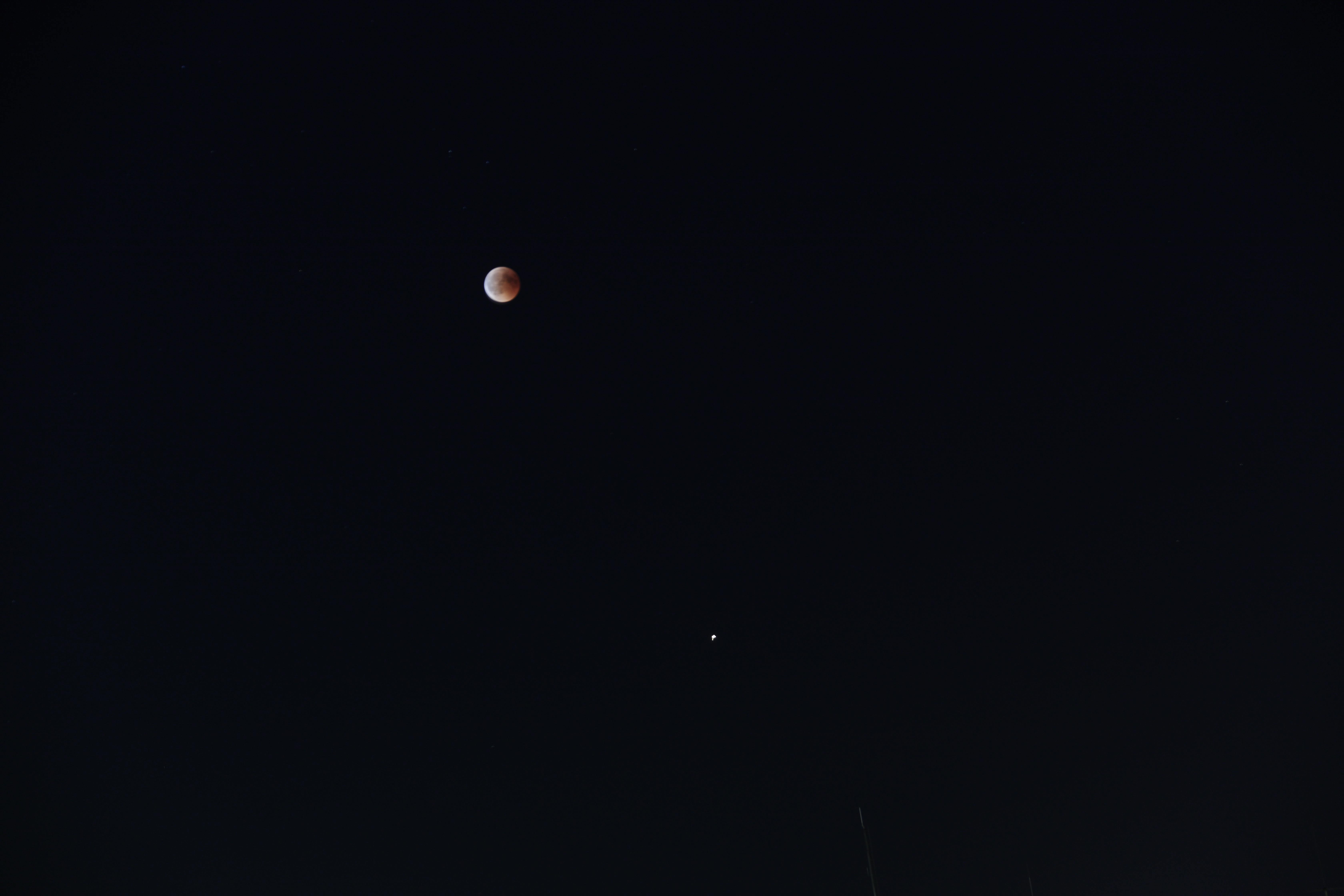 Free stock photo of lunar eclipse, mars, moon