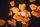 fall background