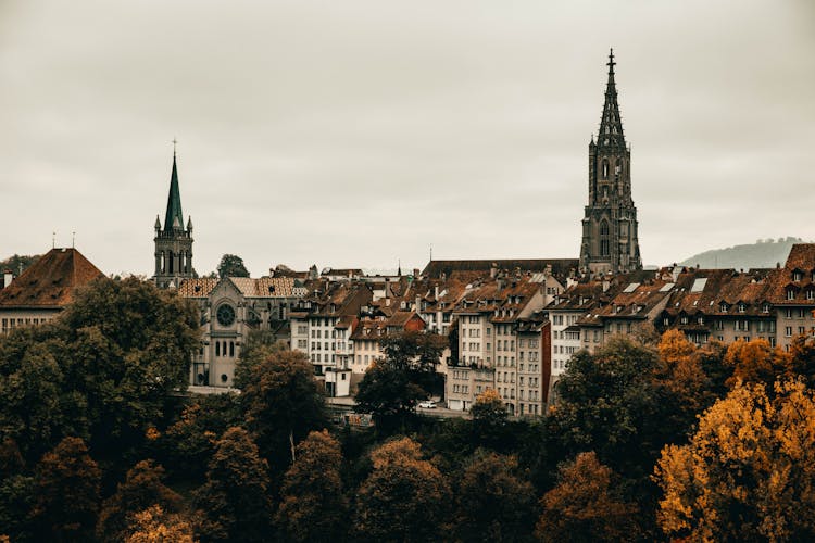 Cityscape With Gothic Church Towers 