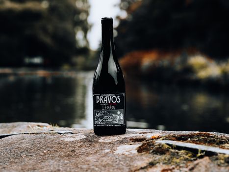 A Bottle of Wine on a Rock