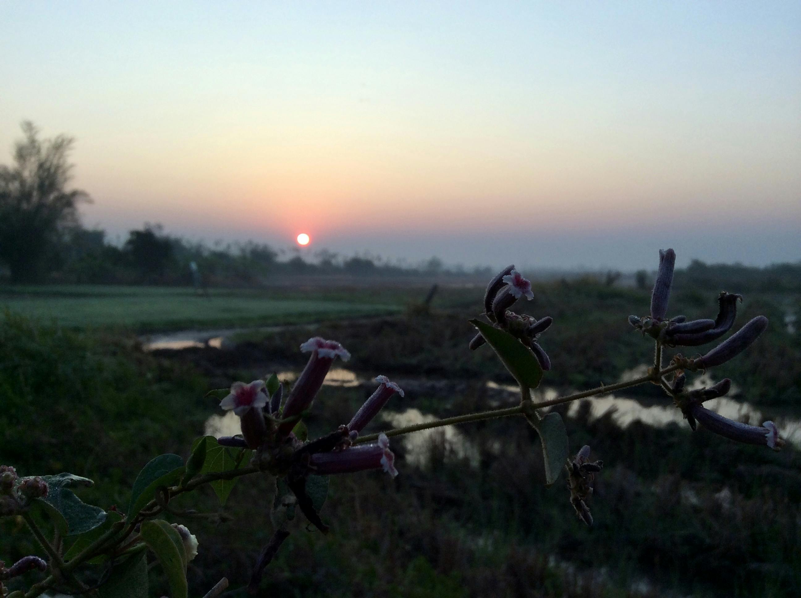 Free stock photo of early morning, sunrise
