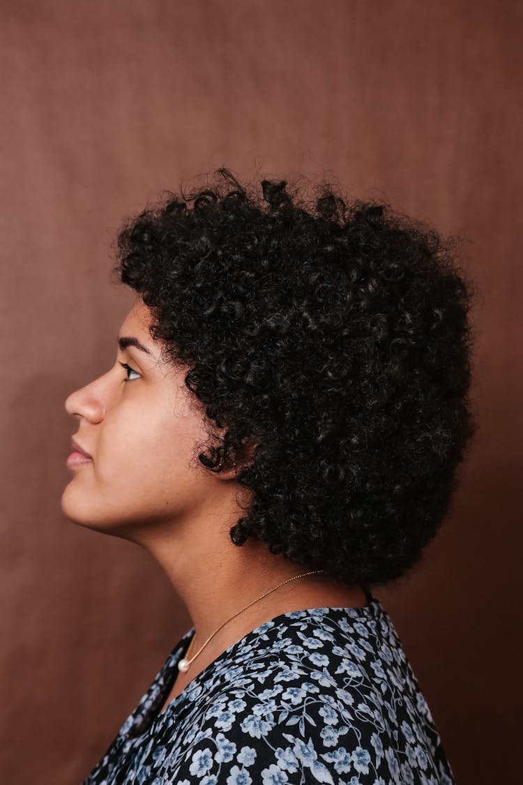 Profile Of A Woman With Afro Hairstyle