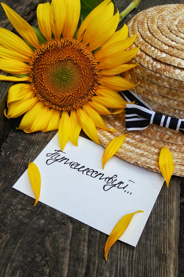 Sunflower And Paper Card