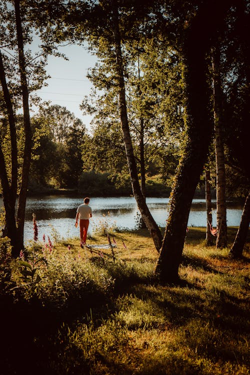 Fotobanka s bezplatnými fotkami na tému chôdza, jazero, les