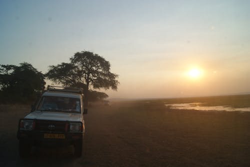 Ilmainen kuvapankkikuva tunnisteilla Afrikka, auringonlasku, safari