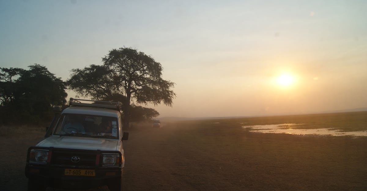Free stock photo of africa, safari, sunset