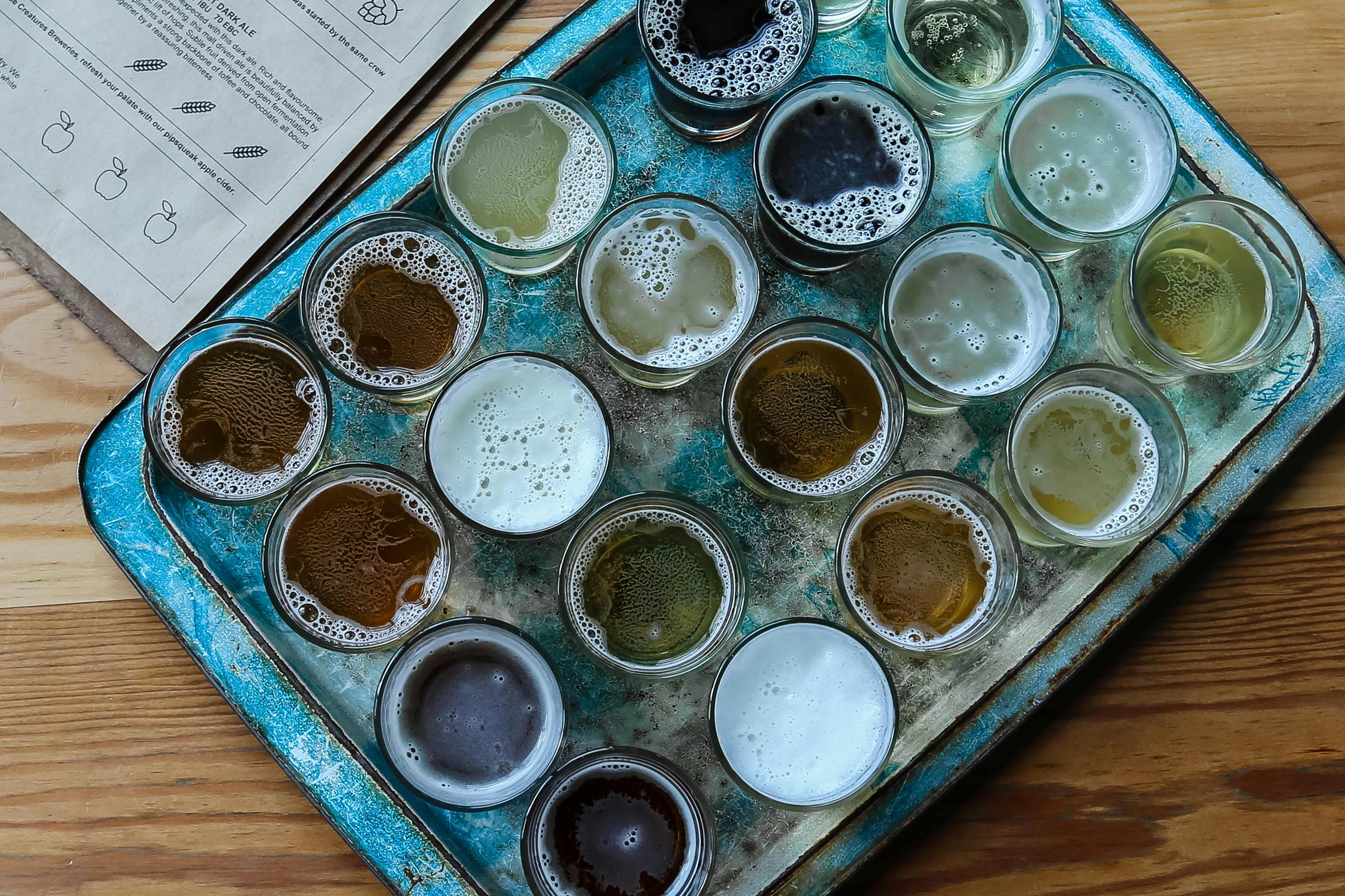 Hops Heaven: Tips for a Successful Craft Beer Tasting Experience