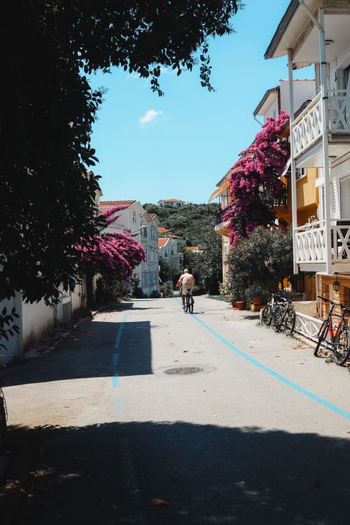 Free Cyclist rides through a vibrant street in İstanbul, Turkey, adorned with colorful flowers and traditional architecture. Stock Photo