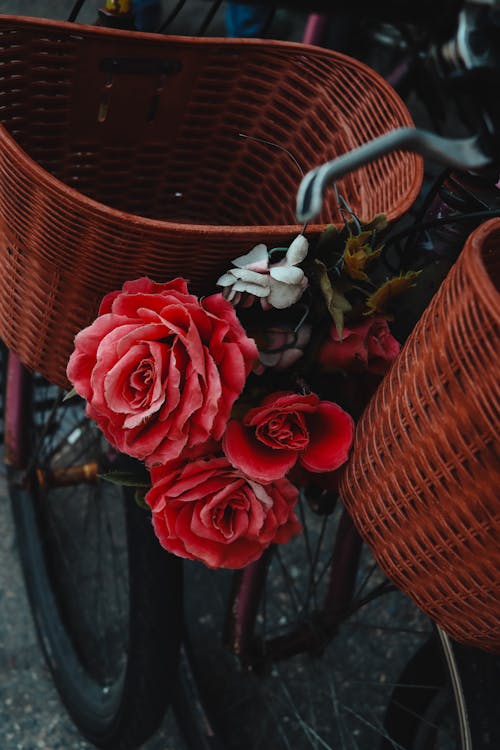 A Red Roses Between Woven Baskets