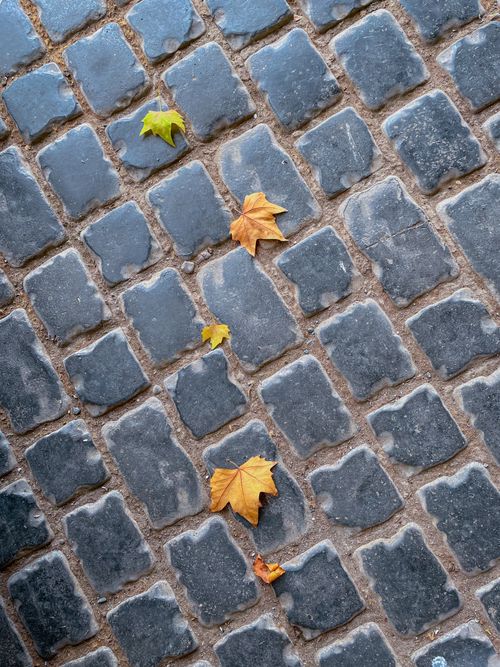 Free Fallen autumn leaves scattered on a cobblestone path in Azerbaijan. Stock Photo