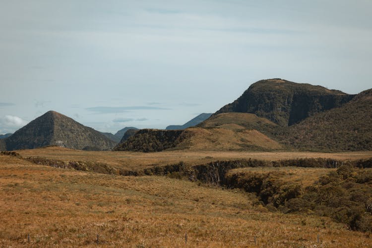 Brown Grass Field Near Green Hills Under White Sky