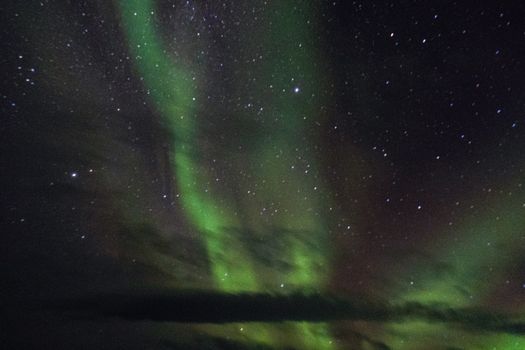 Capture of the mesmerizing green aurora borealis against a starry night sky.