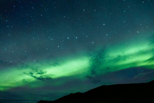 Stunning northern lights display with a star-filled sky, perfect for nature enthusiasts.