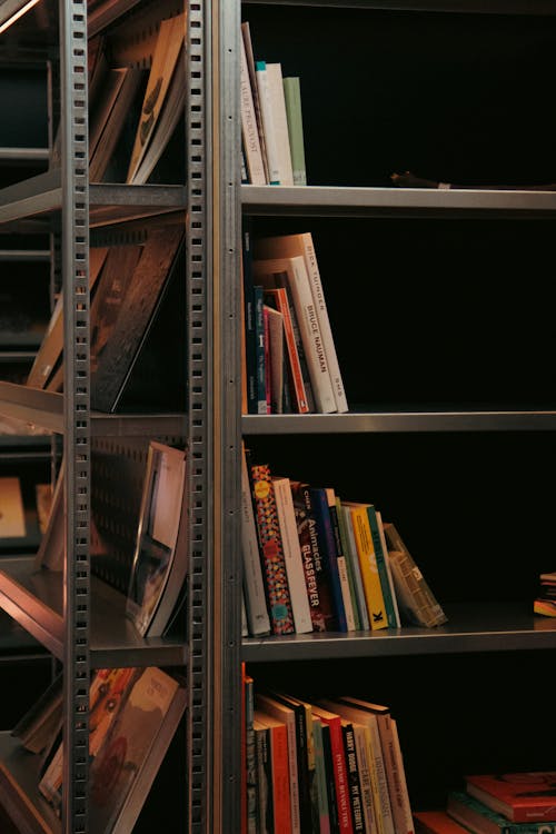 Kostnadsfri bild av böcker, bokhylla, vertikalt skott