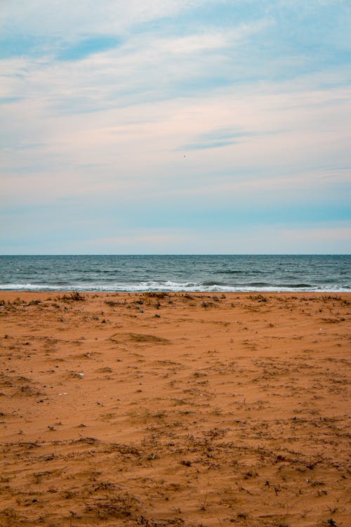 grátis Foto profissional grátis de água, ao ar livre, areia Foto profissional