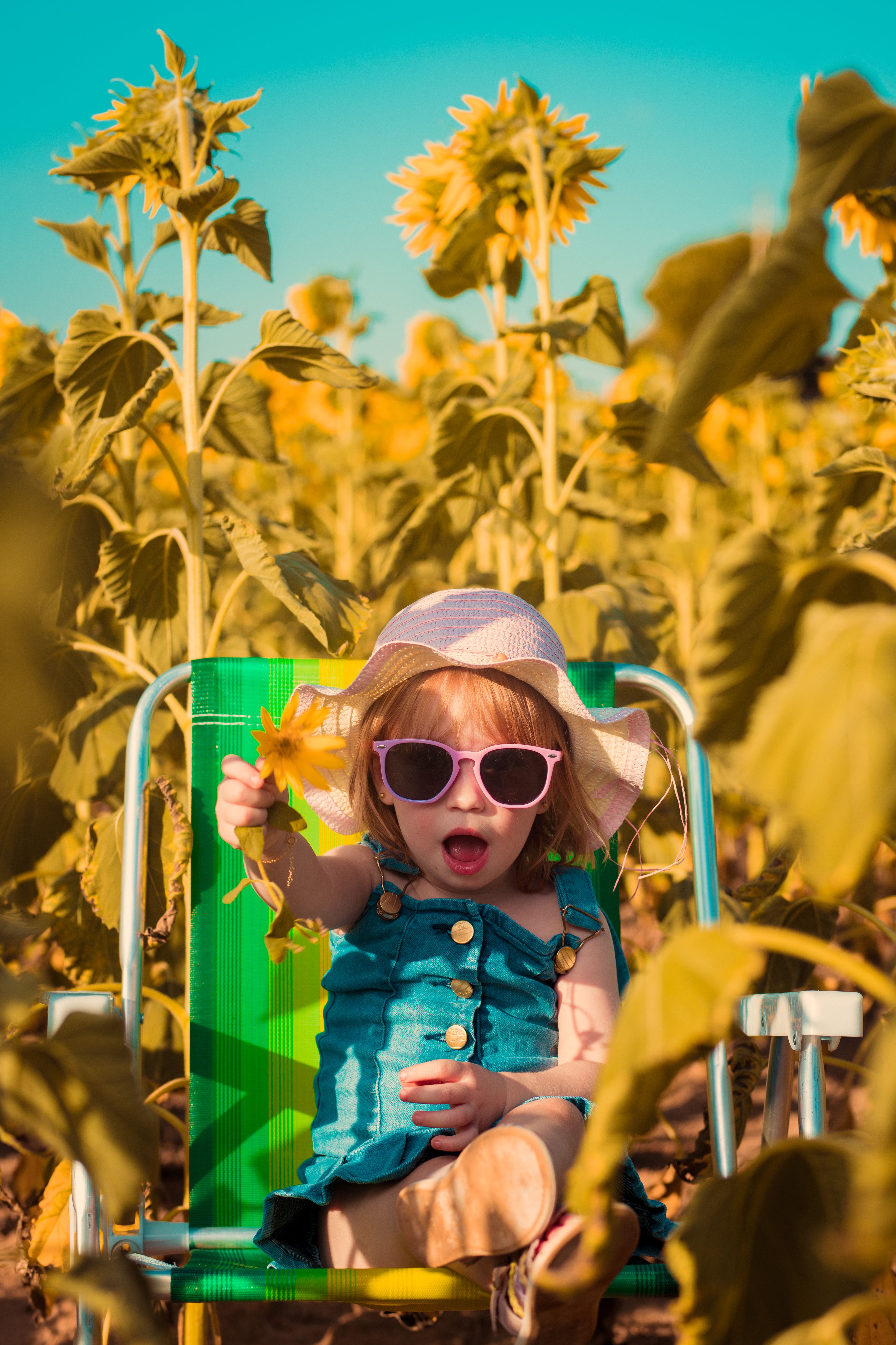 Cute Girl Sitting between Sunflowers on Field · Free Stock Photo