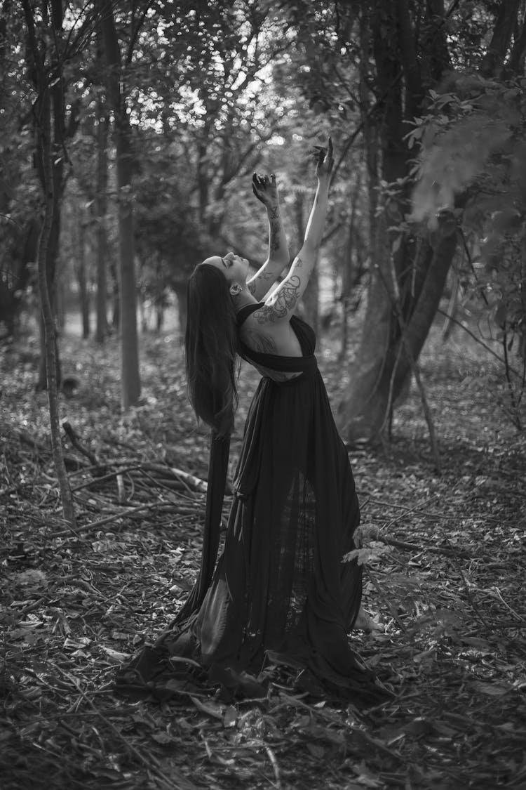 Woman In A Dress Posing In A Forest 