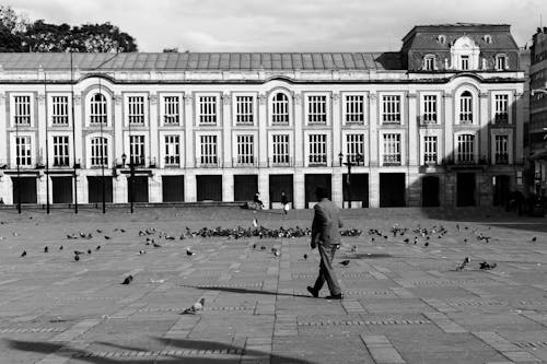 A Grayscale Photo of a Man Walking in the Bolívar Square