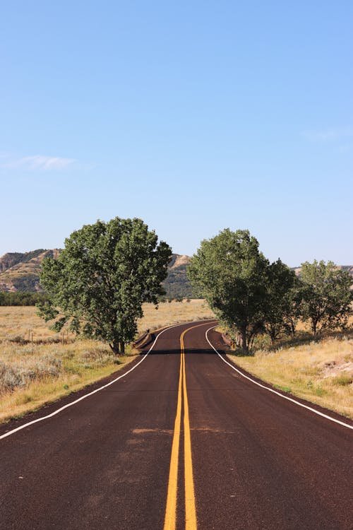 Landscape Photography of a Road in Theodore Roosevelt National Park