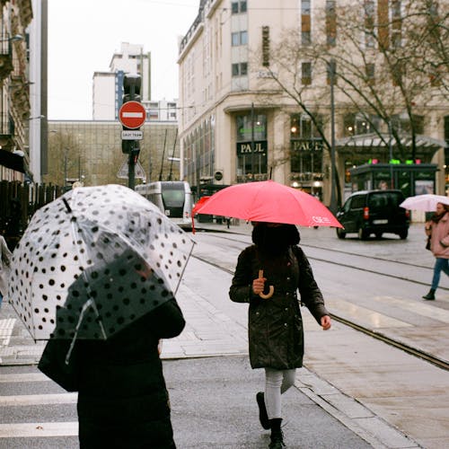 Woman in Black Coat Holding Umbrella Walking on the Street
