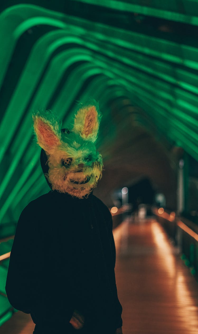 Man In Scary Rabbit Mask Outdoors At Night