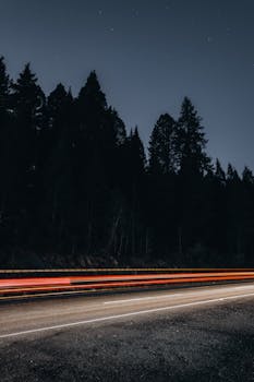 Long exposure of light trails on a road at night against a forest backdrop.