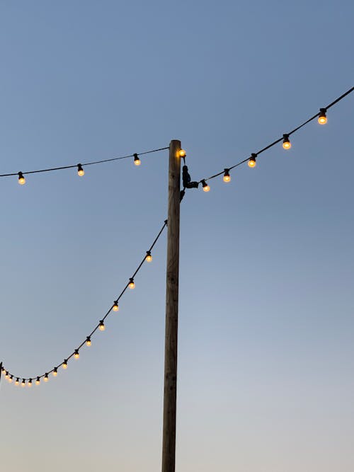 Hanging Light Bulbs Under Blue Sky