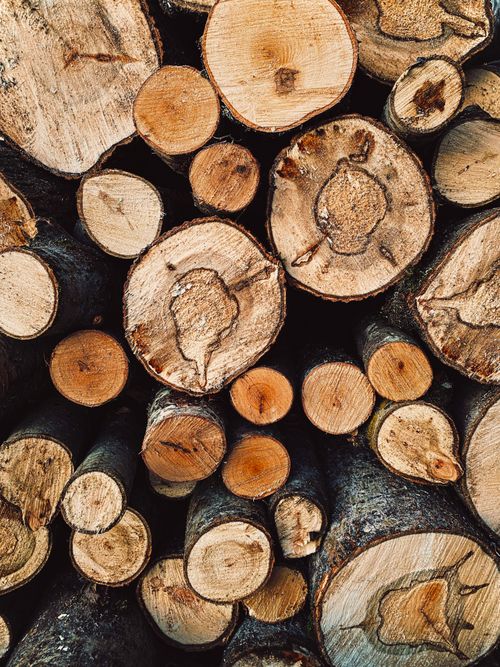Free Explore the detailed texture of stacked chopped logs, offering a natural and rustic wood look. Stock Photo