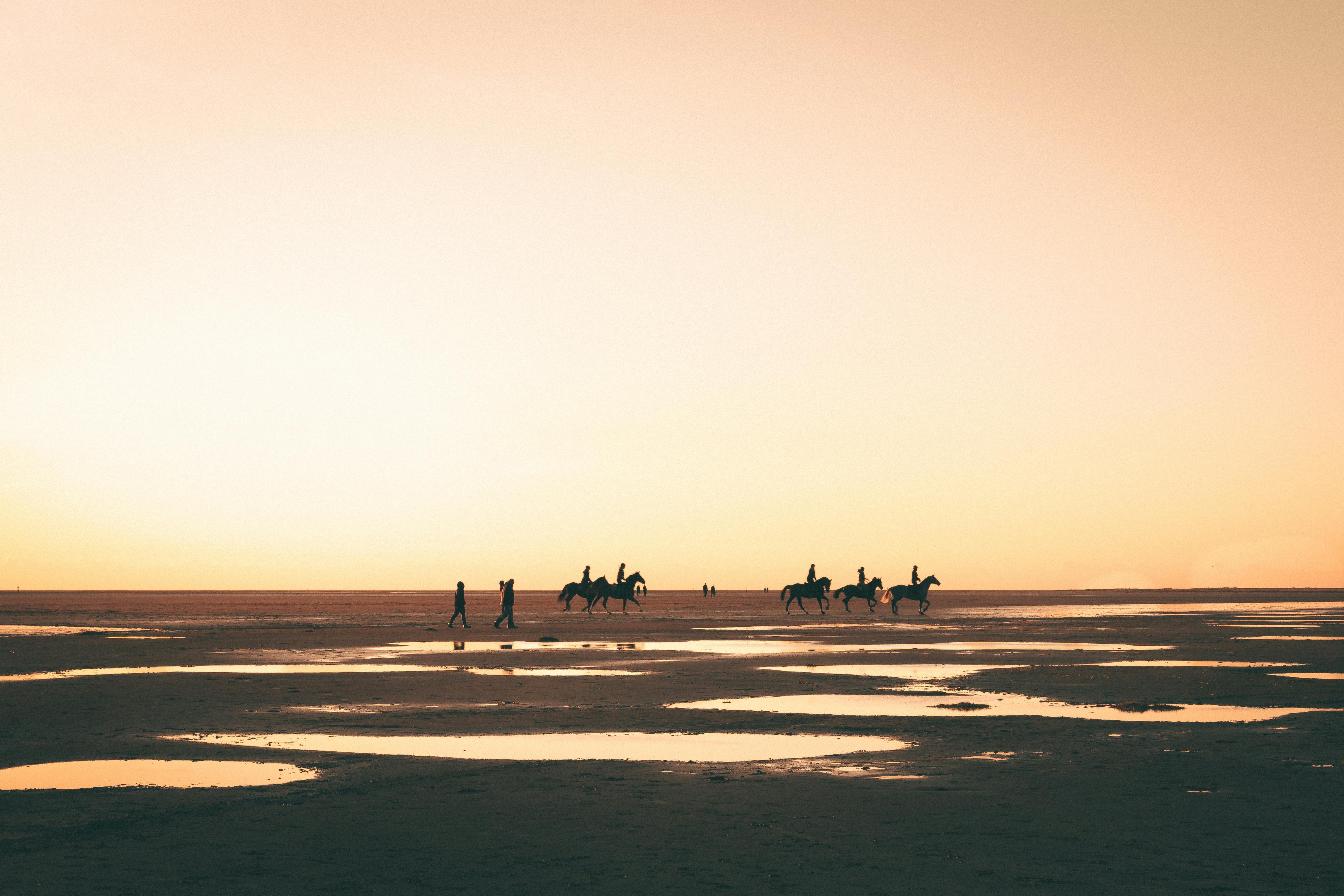 silhouettes of people riding horses on horizon