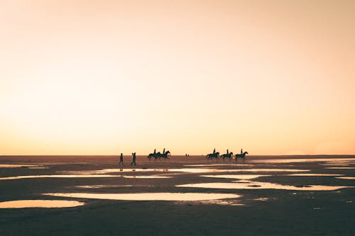 Silhouettes of People Riding Horses on Horizon