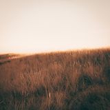 Album art for Casey & Ruth — photo by Julia Fuchs on Pexels
