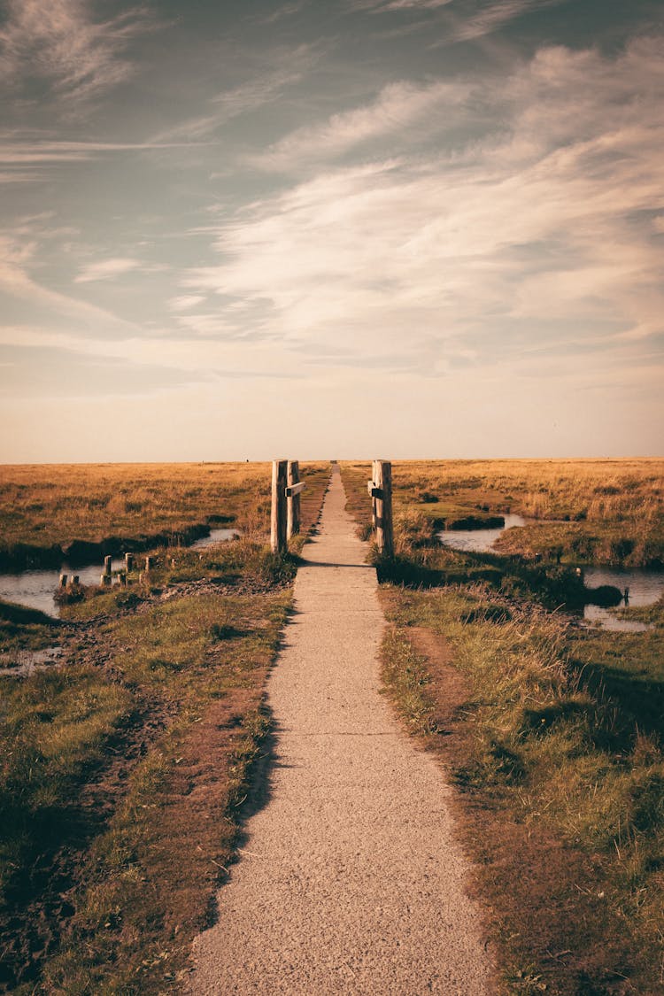 Concrete Pathway On A Vast Land