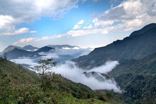 An Aerial Photography of Green Trees on Mountain Under the Blue Sky and White Clouds