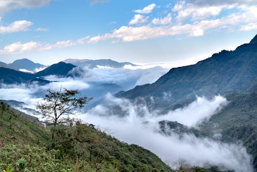 An Aerial Photography of Green Trees on Mountain Under the Blue Sky and White Clouds