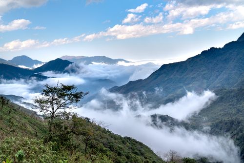 Free Stunning view of a mountain landscape enveloped in clouds and greenery. Stock Photo